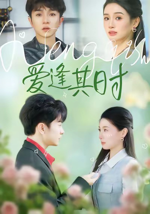 爱逢其时（47集）我全都看完了