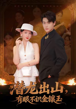 潜龙出山有眼不识金镶玉（78集）独家资源免费看