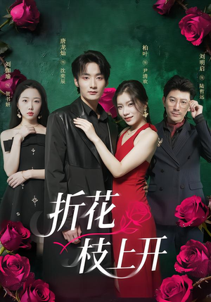 折花枝上开（51集）无需充值尽情看