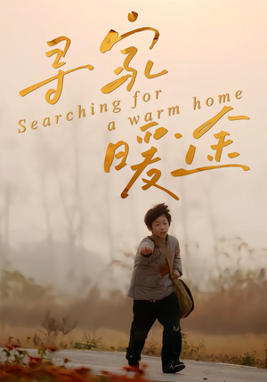 寻家暖途（32集）80到100集