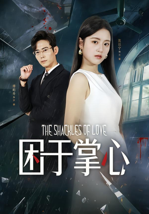 困于掌心（68集）百度网盘资源