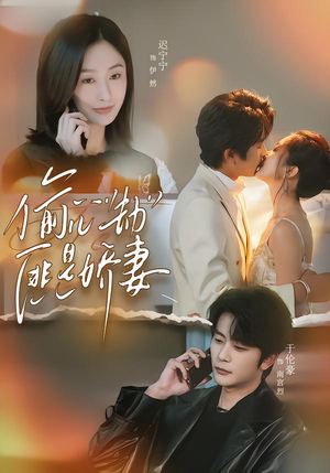 偷“心”劫匪是娇妻（61集）免费热门短剧