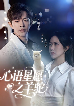 心语星愿之羊驼（60集）短剧免费看全集