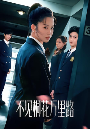 不见桐花万里路（71集）全集下载