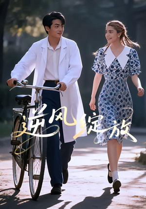 逆风绽放（55集）大结局一气呵成