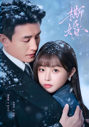 撕婚（23集）短剧热门分享