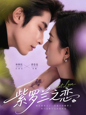 紫罗兰之恋（82集）免费观看全集