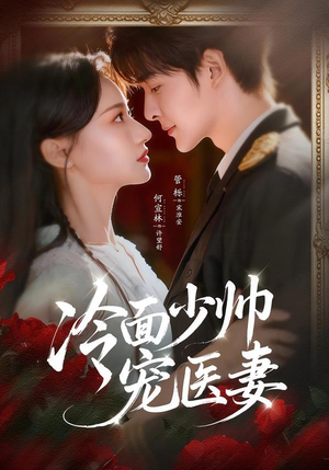 冷面少帅宠医妻（65集）迅雷网盘观看