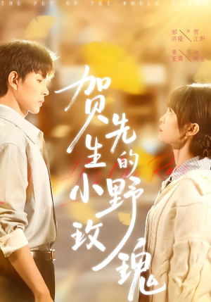 贺先生的小野玫瑰(99集) 贺先生的小野玫瑰(99集)短剧每日分享