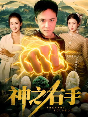 神之右手（100集）免费观看全集