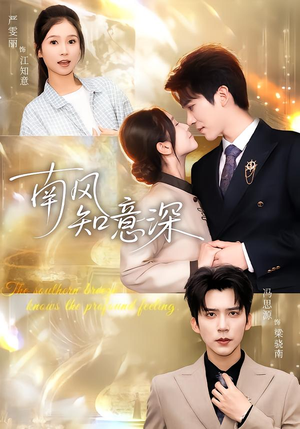 南风知意深（40集）精彩短剧看全集