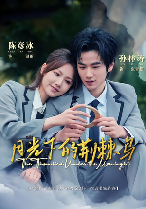 月光下的荆棘鸟（80集）热播短剧推荐