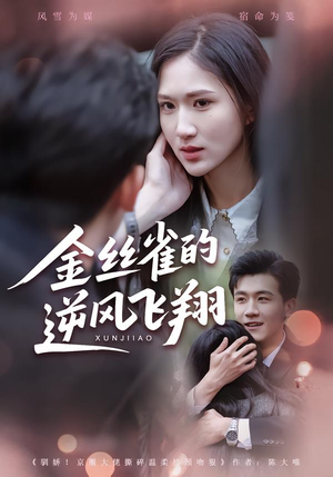 金丝雀的逆风飞翔（80集）甜宠短剧追到爽