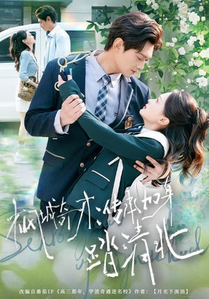 枫城奇才：传承加身踏清北（80集）精彩的网络短剧