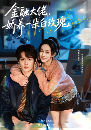 金融大佬，娇养一朵白玫瑰（70集）热门短剧追到爽