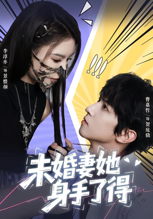 未婚妻她身手了得（50集）在哪个平台看